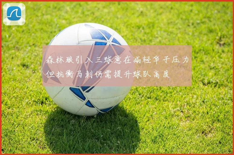 森林狼引入三球意在减轻华子压力但抗衡马刺仍需提升球队高度