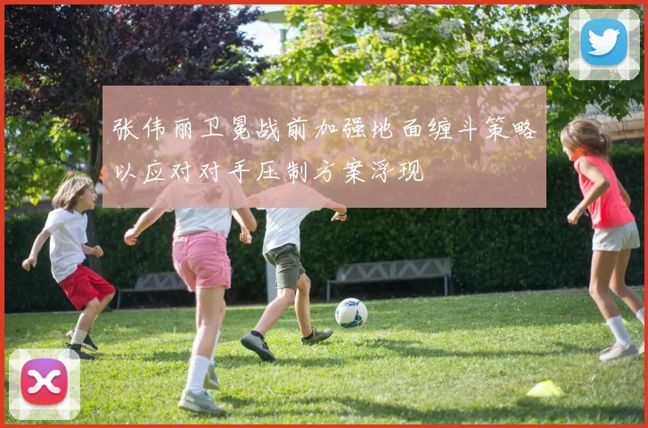 张伟丽卫冕战前加强地面缠斗策略以应对对手压制方案浮现